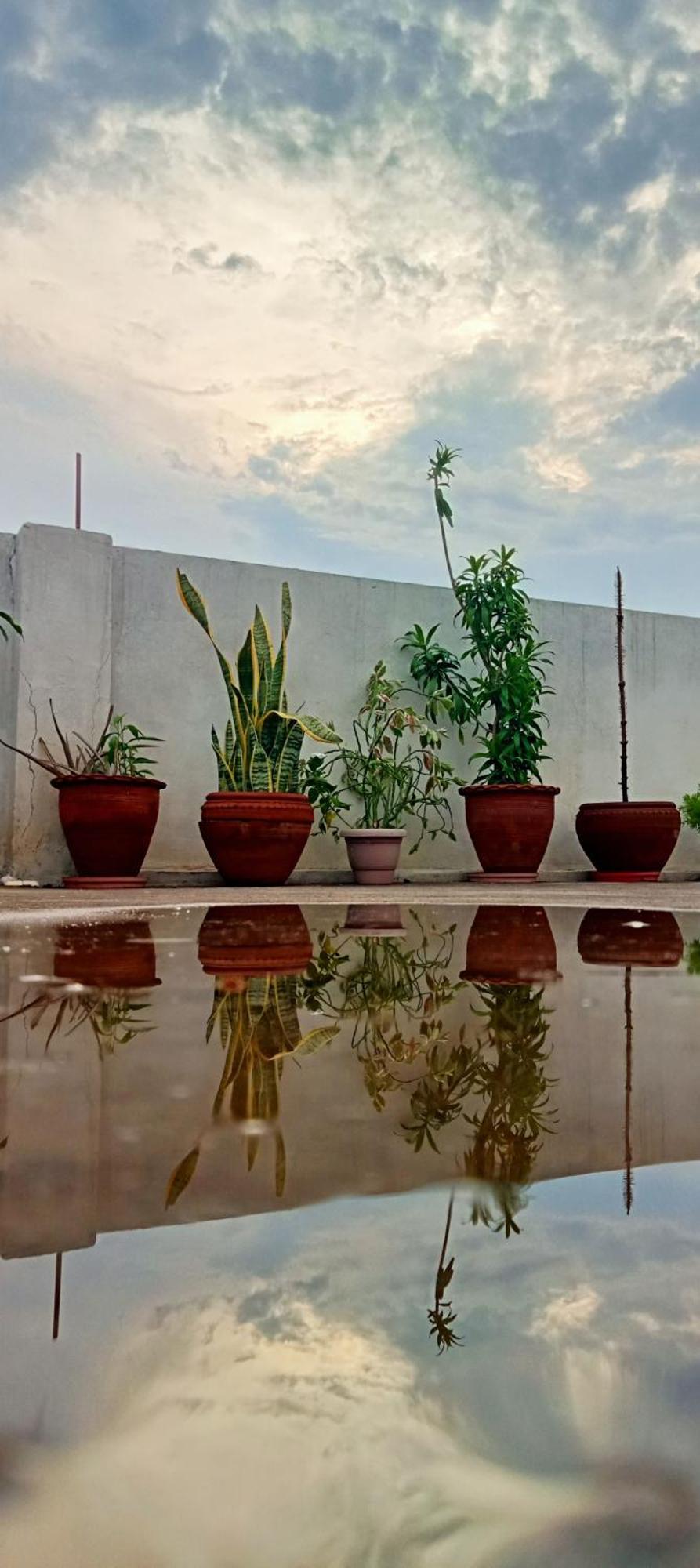 Cocoon Auberge Jaipur Luaran gambar